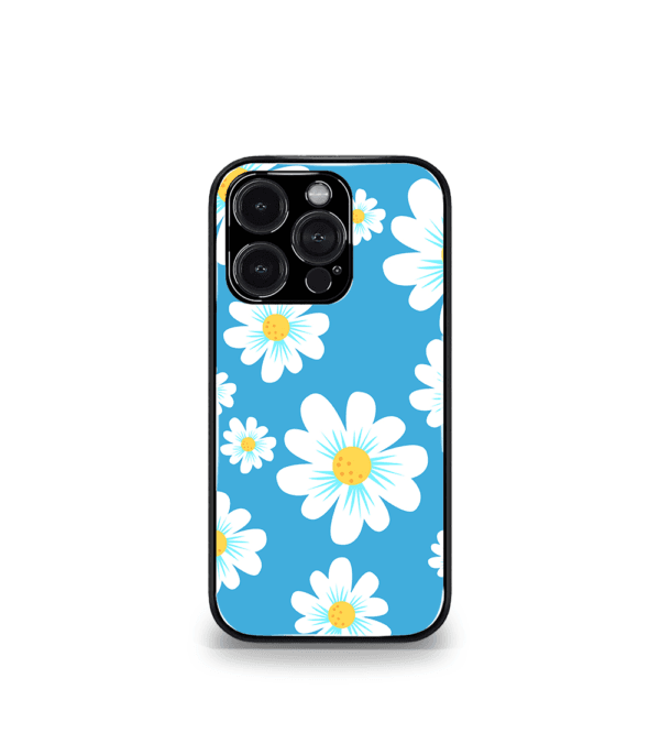 Aesthetic Cases