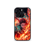 Anime case