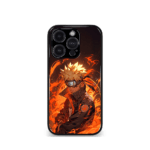 Anime case