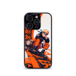 Anime case